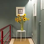 Guest house Mama